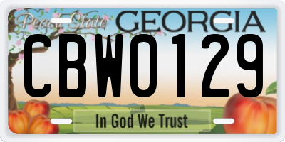 GA license plate CBW0129