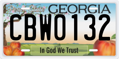 GA license plate CBW0132
