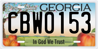 GA license plate CBW0153