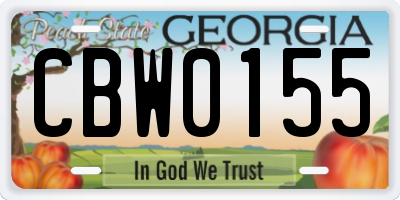 GA license plate CBW0155