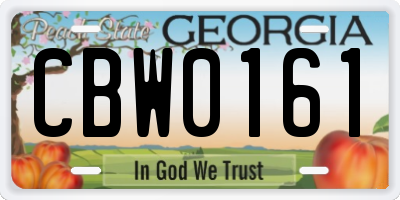 GA license plate CBW0161