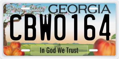 GA license plate CBW0164