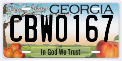 GA license plate CBW0167