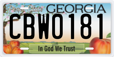GA license plate CBW0181