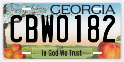 GA license plate CBW0182