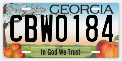 GA license plate CBW0184