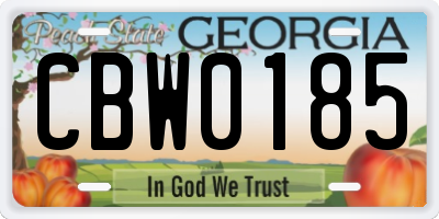 GA license plate CBW0185