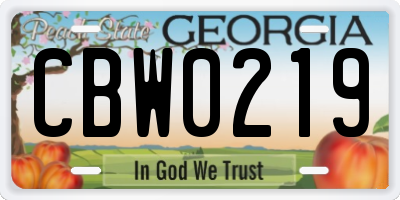 GA license plate CBW0219