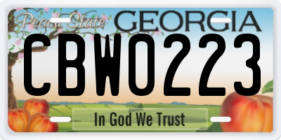 GA license plate CBW0223