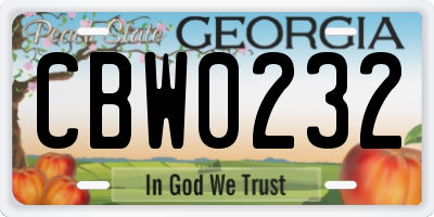GA license plate CBW0232