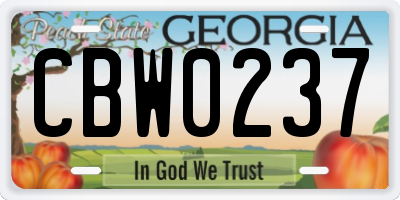 GA license plate CBW0237