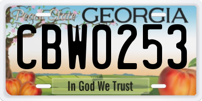 GA license plate CBW0253