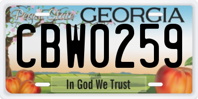 GA license plate CBW0259
