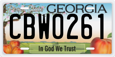 GA license plate CBW0261