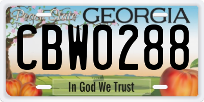 GA license plate CBW0288