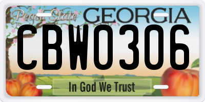 GA license plate CBW0306