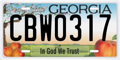 GA license plate CBW0317