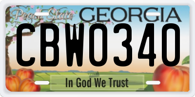 GA license plate CBW0340