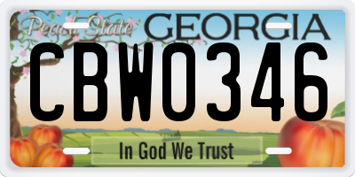 GA license plate CBW0346