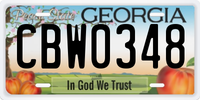 GA license plate CBW0348