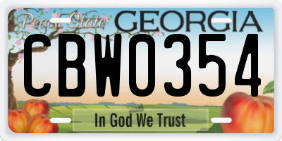 GA license plate CBW0354