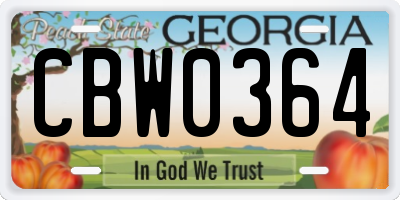 GA license plate CBW0364