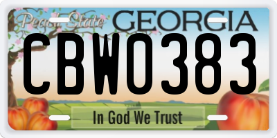 GA license plate CBW0383