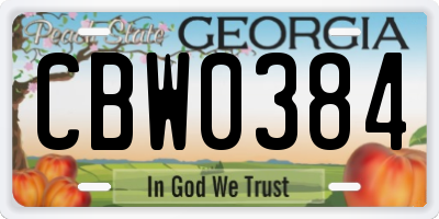 GA license plate CBW0384
