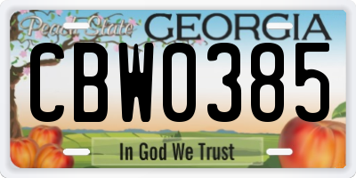 GA license plate CBW0385