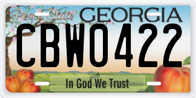 GA license plate CBW0422