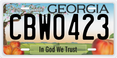GA license plate CBW0423