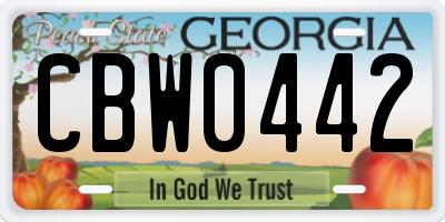 GA license plate CBW0442
