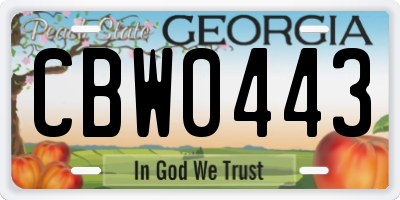 GA license plate CBW0443