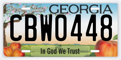 GA license plate CBW0448