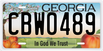 GA license plate CBW0489