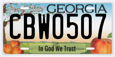 GA license plate CBW0507