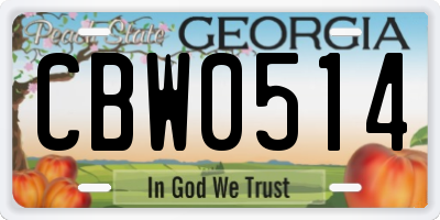 GA license plate CBW0514