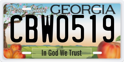 GA license plate CBW0519