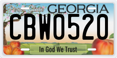 GA license plate CBW0520