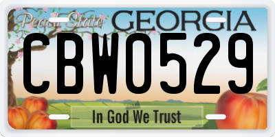 GA license plate CBW0529