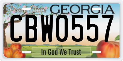 GA license plate CBW0557