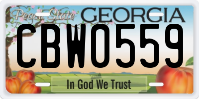 GA license plate CBW0559