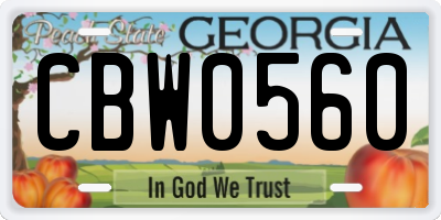 GA license plate CBW0560