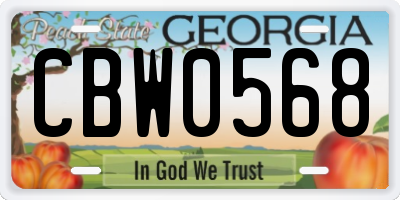 GA license plate CBW0568