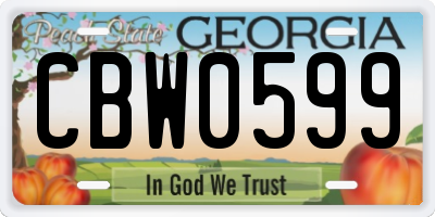 GA license plate CBW0599