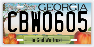 GA license plate CBW0605