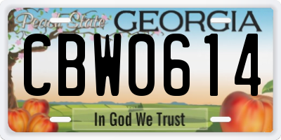 GA license plate CBW0614