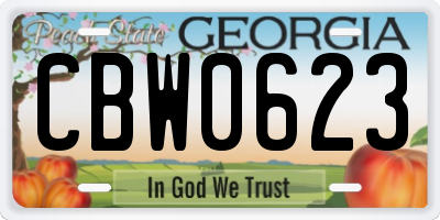 GA license plate CBW0623
