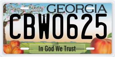 GA license plate CBW0625