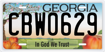 GA license plate CBW0629